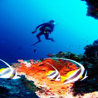Anantara Dhigu Resort fotoÄŸrafÄ±