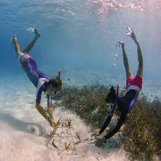 Anantara Dhigu Resort fotoÄŸrafÄ±