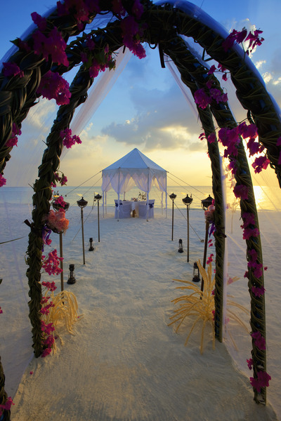 Anantara Dhigu Resort - Aktivite
