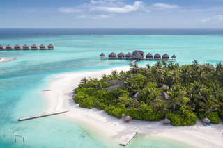Anantara Dhigu Resort otel fotoğrafı