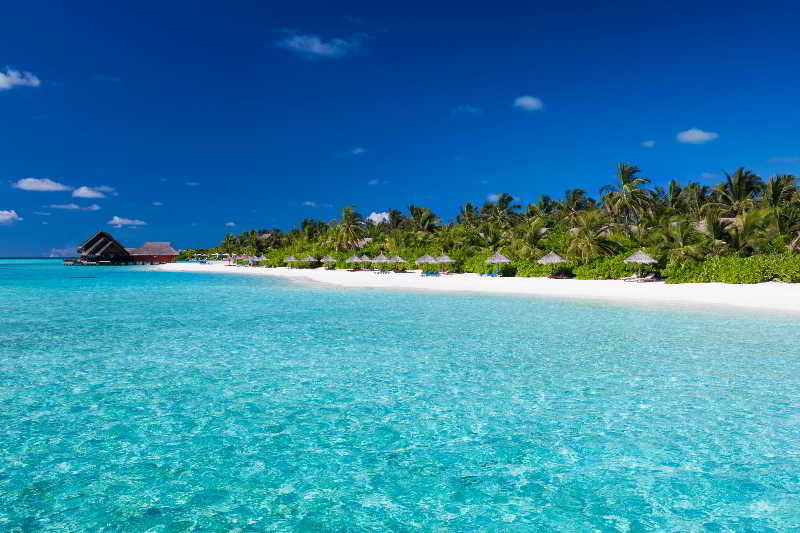 Anantara Dhigu Resort fotoÄŸrafÄ±