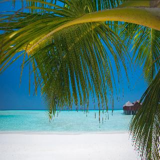 Anantara Dhigu Resort fotoÄŸrafÄ±