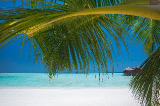 Anantara Dhigu Resort fotoÄŸrafÄ±