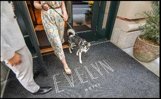 The Evelyn fotoÄŸrafÄ±