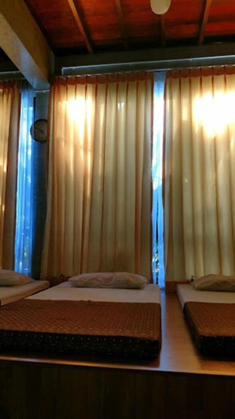 Wind Beach Resort - Aktivite