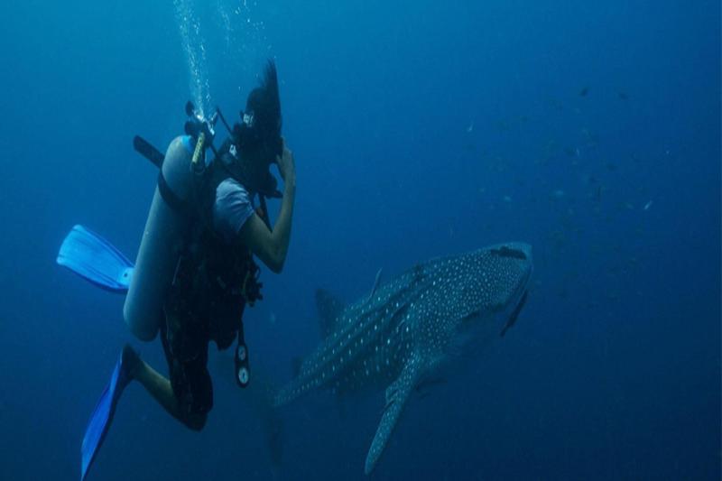 Ban's Diving Resort - Aktivite