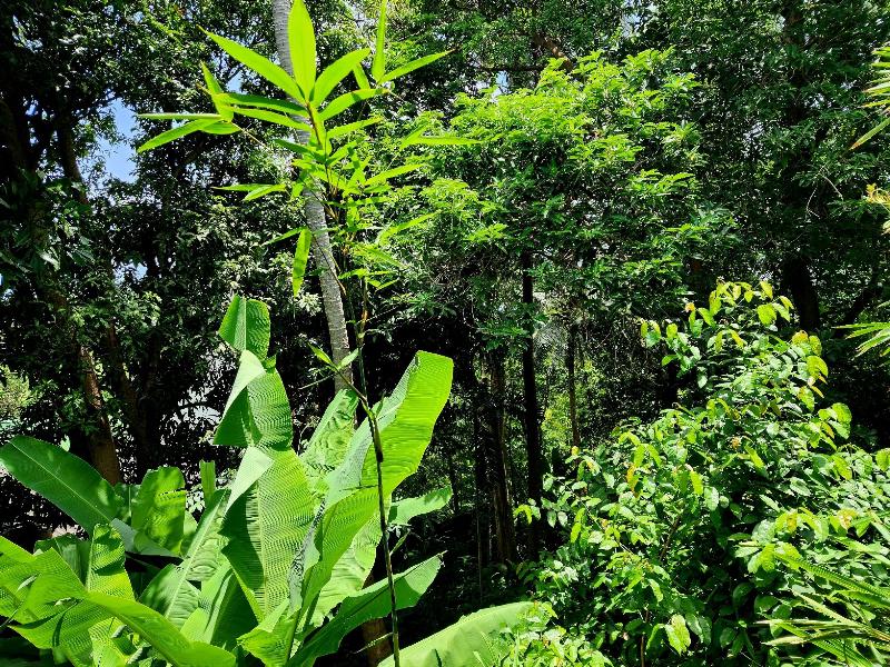 Kata Garden Resort - Genel
