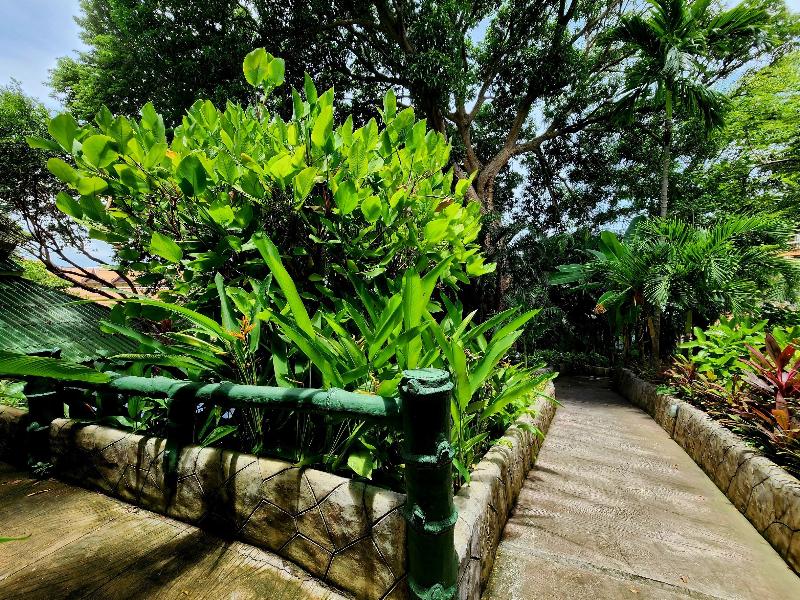 Kata Garden Resort - Genel