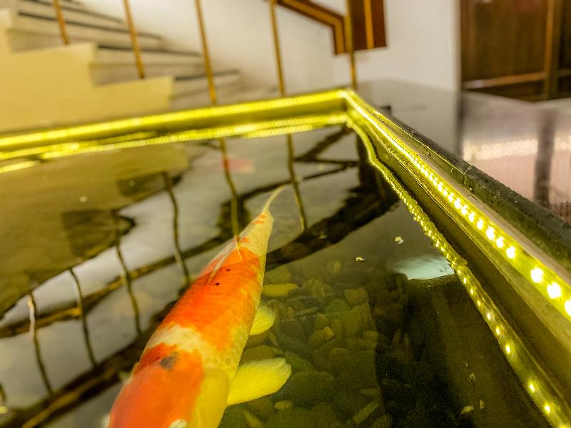 Sino House Phuket Hotel - Lobi