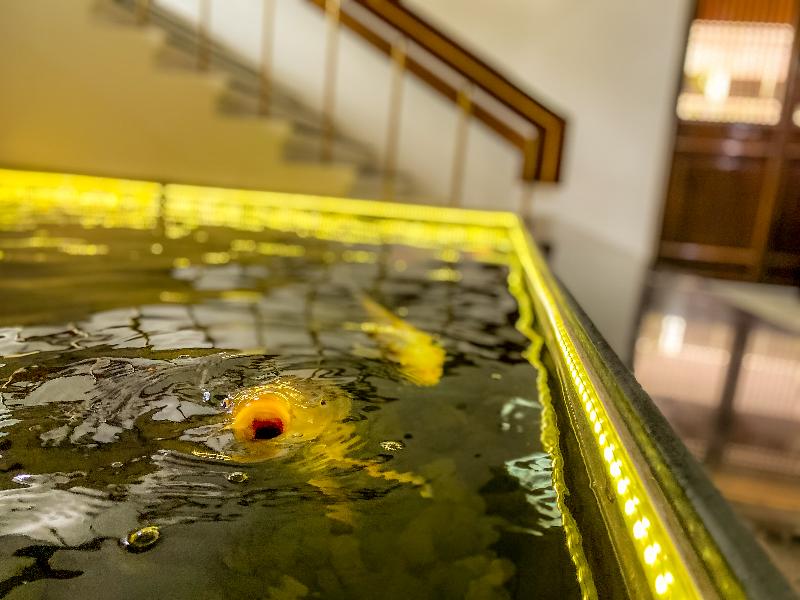 Sino House Phuket Hotel - Lobi