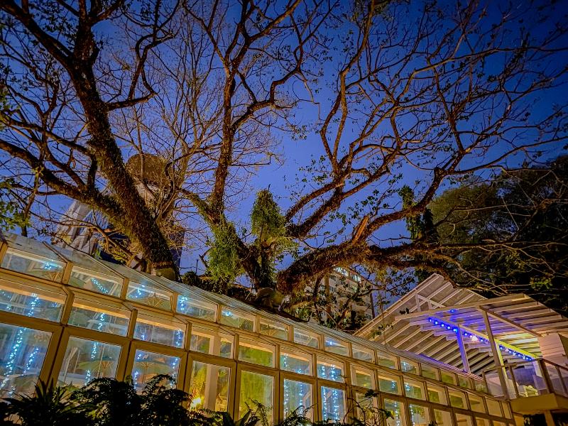 Sino House Phuket Hotel - Restoran