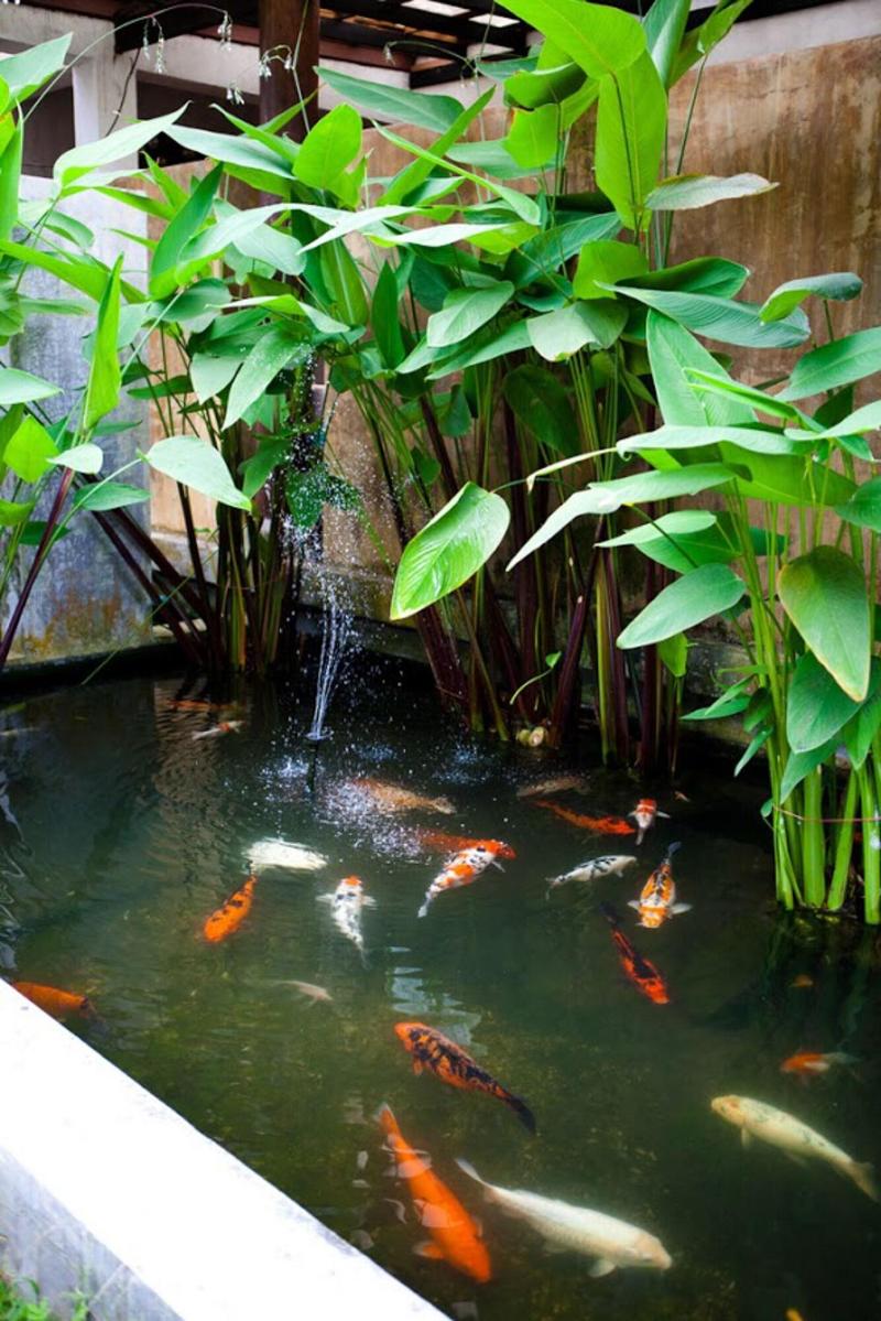 Ayara Villas - Lobi