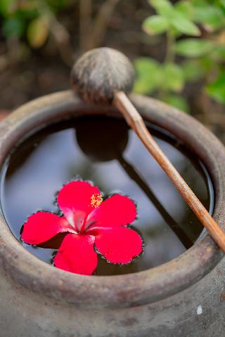 Baan Duangkaew Resort fotoÄŸrafÄ±