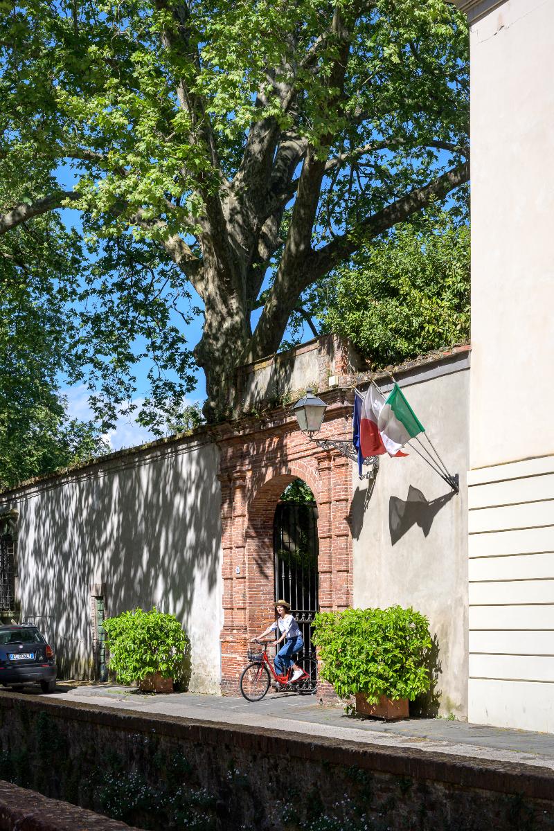 Hotel Ilaria - Genel