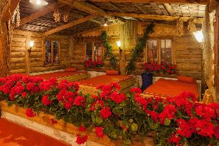 Alpinhotel Berghaus fotoÄŸrafÄ±