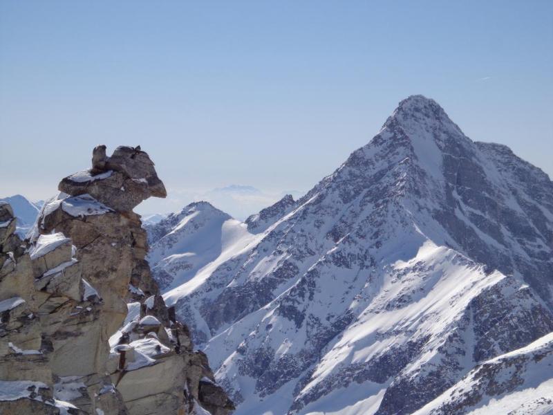 Alpinhotel Berghaus - Genel