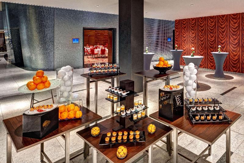 Hilton Frankfurt Airport - Toplantı