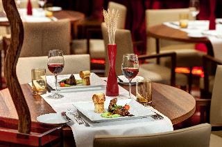 Hilton Frankfurt Airport fotoÄŸrafÄ±