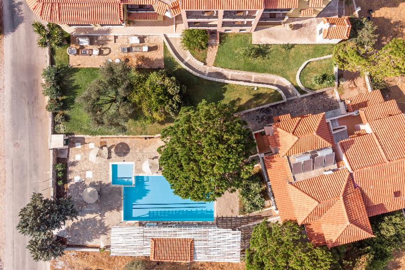 Ledra - Genel