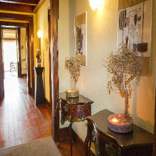 Lusitano fotoÄŸrafÄ±