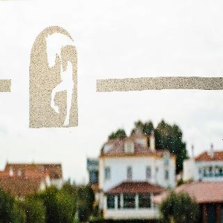 Lusitano fotoÄŸrafÄ±
