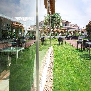 Lusitano fotoÄŸrafÄ±