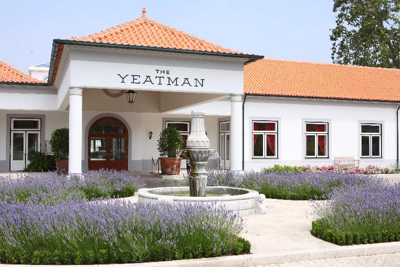 The Yeatman - Genel