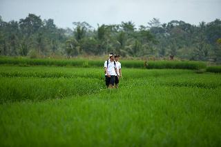The Samaya Ubud fotoÄŸrafÄ±