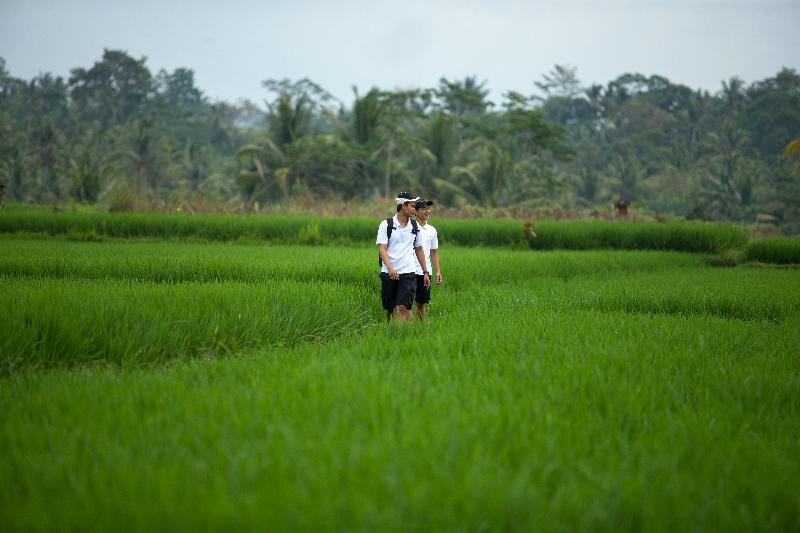 The Samaya Ubud - Genel