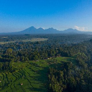 The Samaya Ubud fotoÄŸrafÄ±