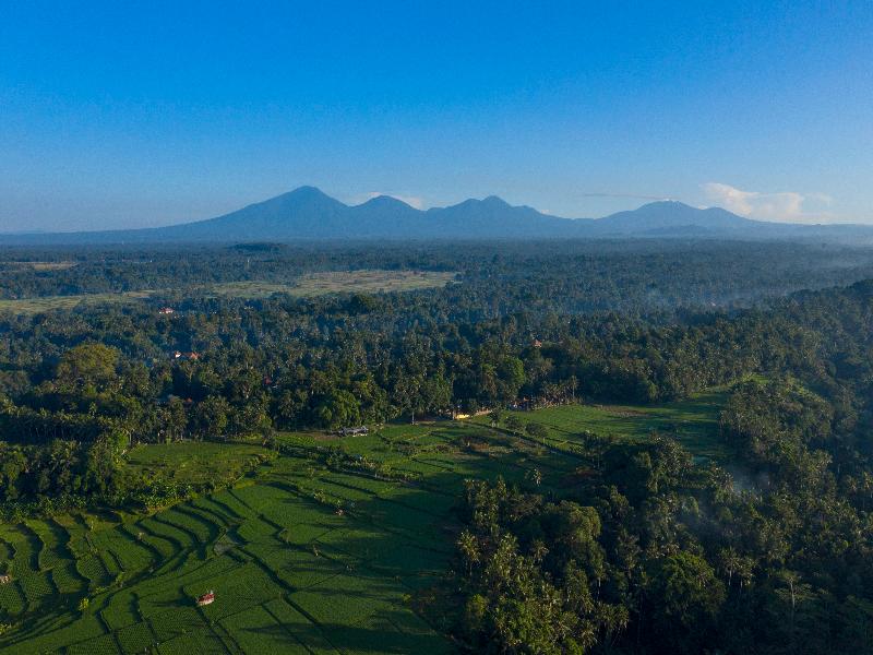 The Samaya Ubud - Genel