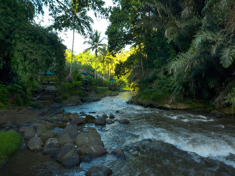 The Samaya Ubud - Genel