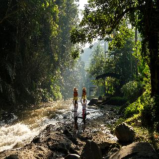 The Samaya Ubud fotoÄŸrafÄ±
