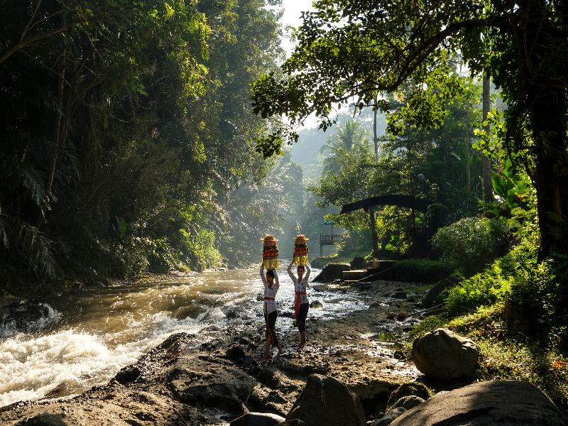 The Samaya Ubud - Genel
