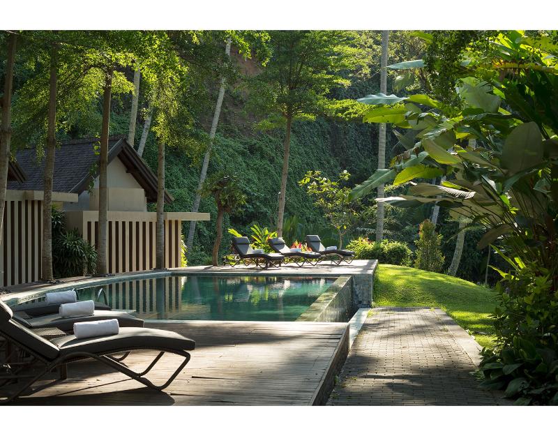 The Samaya Ubud - Havuz