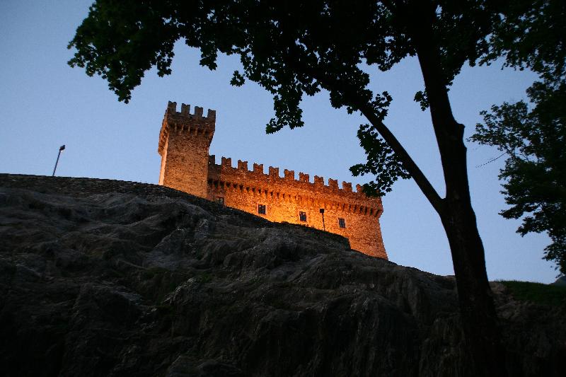 Hotel Internazionale Bellinzona - Genel
