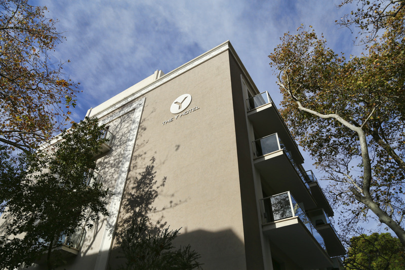 The Y - Genel