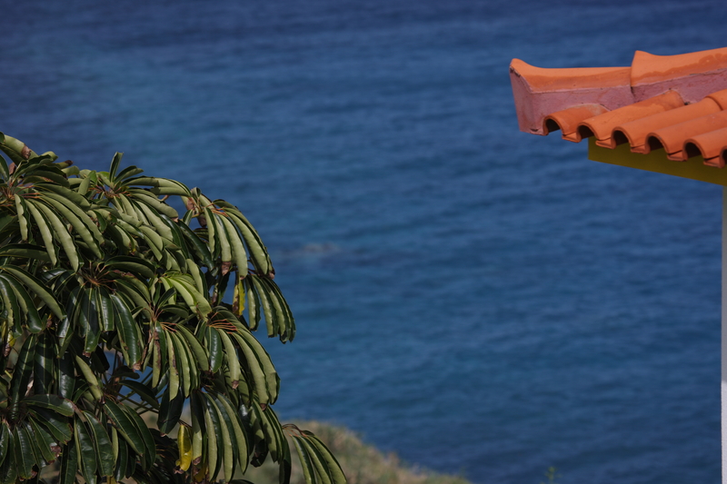 Canico Bay Club - Genel