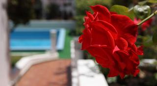 Canico Bay Club fotoÄŸrafÄ±