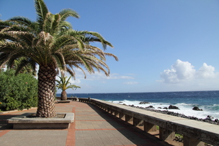 Canico Bay Club fotoÄŸrafÄ±