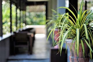 Yoma Hotel Mae Hong Son fotoÄŸrafÄ±