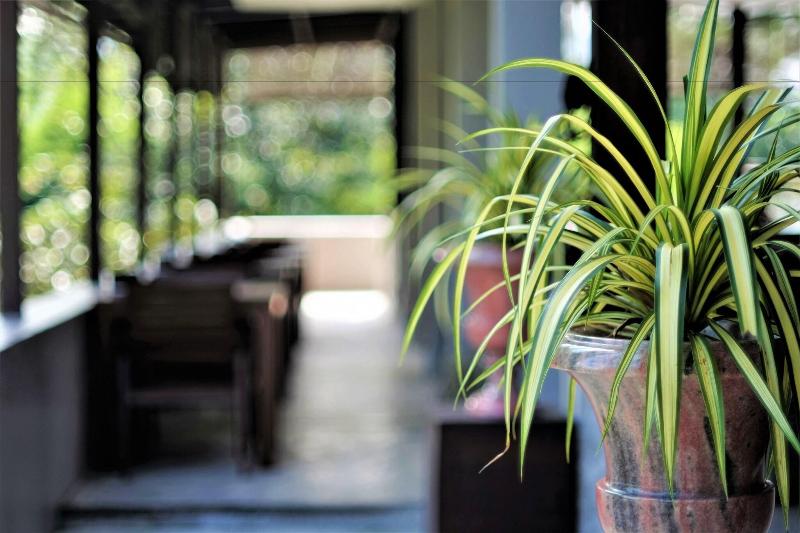 Yoma Hotel Mae Hong Son - Lobi