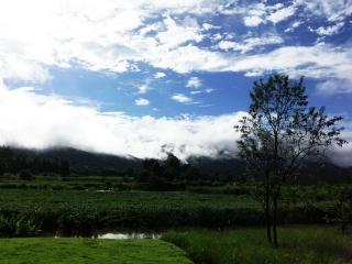 Yoma Hotel Mae Hong Son fotoÄŸrafÄ±