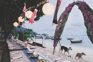 Castaway fotoÄŸrafÄ±