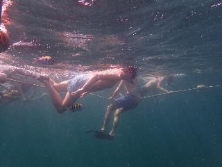 Castaway fotoÄŸrafÄ±