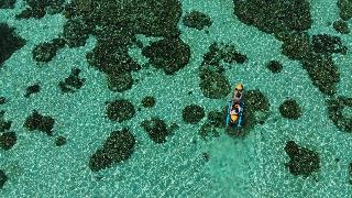 Castaway fotoÄŸrafÄ±