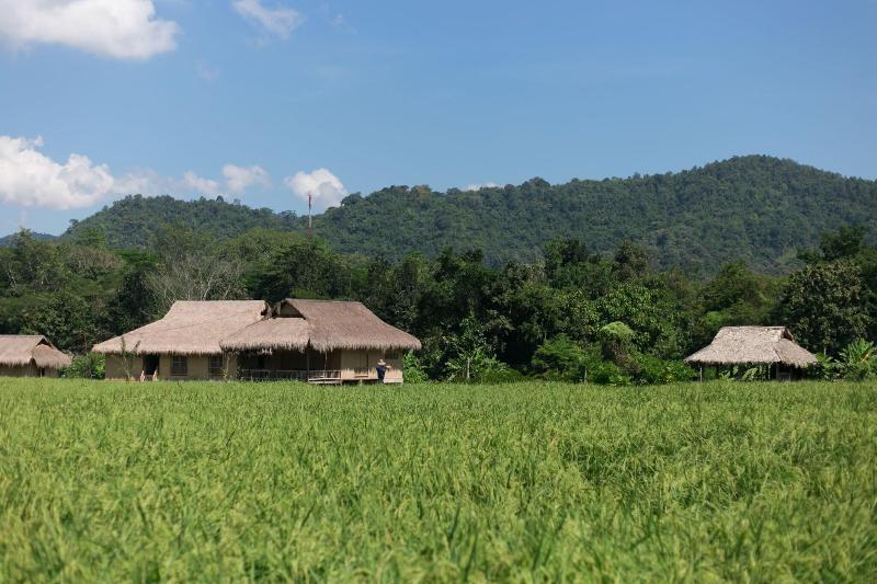 Lisu Lodge - Genel