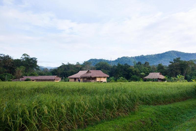 Lisu Lodge - Genel