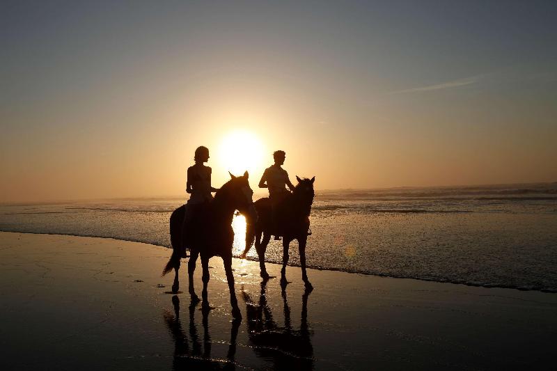 Mazagan Beach & Golf Resort - Aktivite
