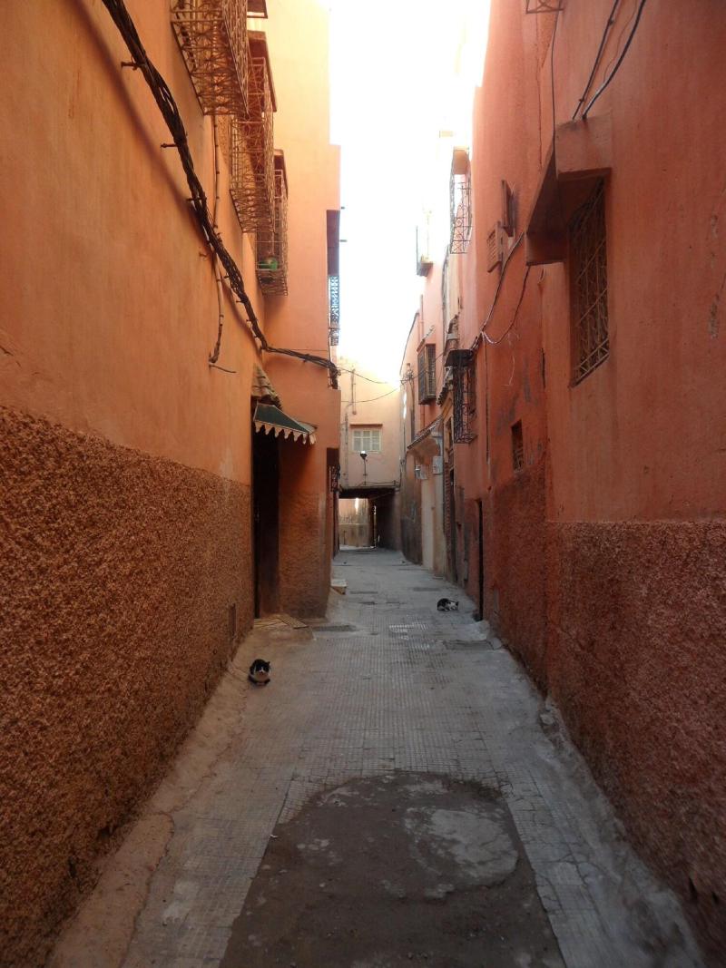 Riad Dar Sohane - Genel
